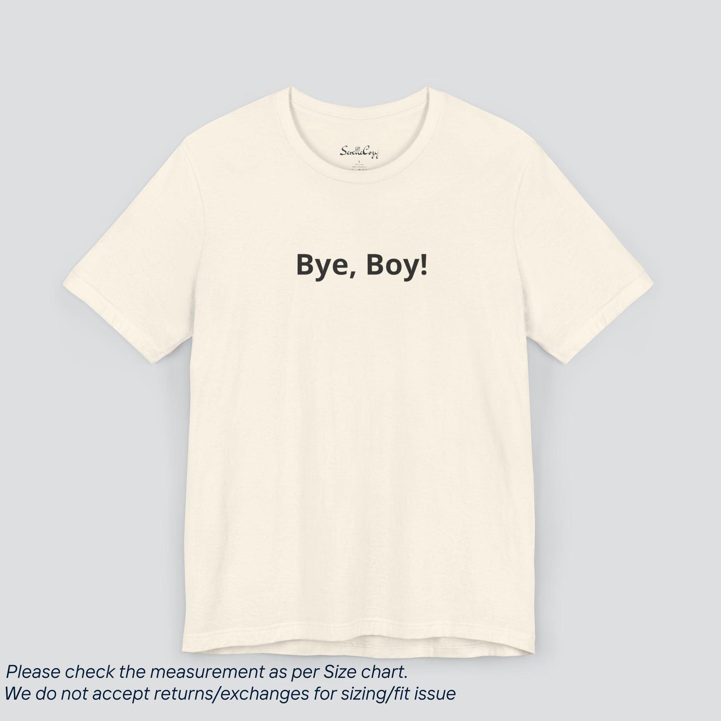 Slay the Breakup! Bye, Boy! Premium Tee